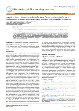 Integrin-Linked Kinase Inactives the Wnt Pathway Through Connexin