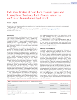 Field Identification of Sand Lark Alaudala Raytal and Lesser/Asian Short-Toed Lark Alaudala Rufescens/ Cheleensis: an Unacknowledged Pitfall