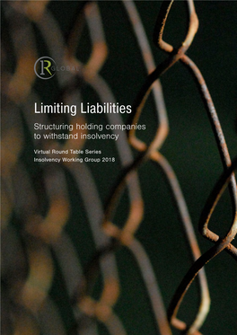 Limiting Liabilities Structuring Holding Companies to Withstand Insolvency