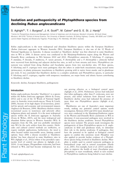 Isolation and Pathogenicity of Phytophthora Species from Declining Rubus Anglocandicans