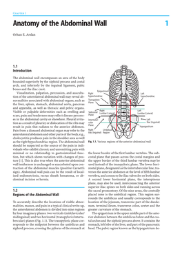 1 Anatomy of the Abdominal Wall 1