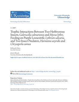 Trophic Interactions Between Two Herbivorous Insects, Galerucella Calmariensis and Myzus Lythri, Feeding on Purple Loosestrife, Lythrum