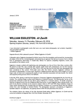 WILLIAM EGGLESTON: at Zenith