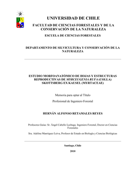 Estudio-Morfoanatomico-De-Hojas-Y-Estructuras-Reproductivas-De-Myrceugenia-Rufa-(Colla