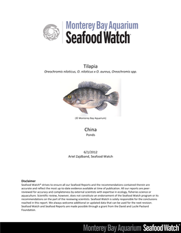 Tilapia-China.Pdf