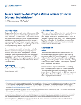 Guava Fruit Fly, Anastrepha Striata Schiner (Insecta: Diptera: Tephritidae)1 H