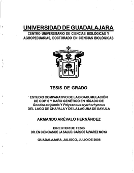 Universidad De Guadalajara Centro Universitario De Ciencias Biológicas Y Agropecuarias, Doctorado En Ciencias Biológicas