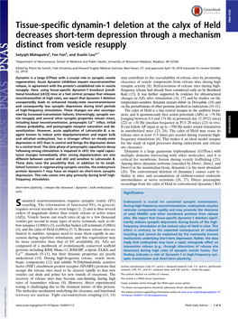 Tissue-Specific Dynamin-1 Deletion at the Calyx of Held Decreases Short