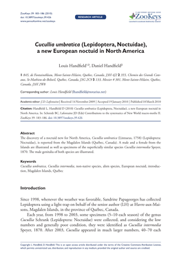 Cucullia Umbratica (Lepidoptera, Noctuidae), a New European Noctuid in North America