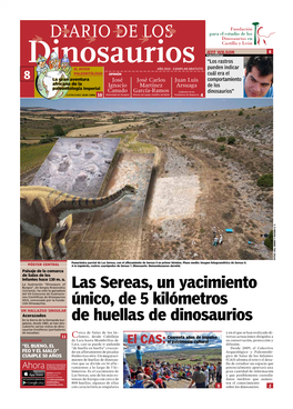 Las Sereas, Un Yacimiento Único, De 5 Kilómetros De Huellas De Dinosaurios