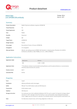 Anti-APOBEC3B Antibody (ARG57382)