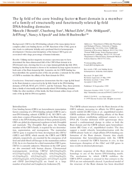 The Ig Fold of the Core Binding Factor Α Runt Domain Is a Member of a Family of Structurally and Functionally Related Ig-Fold D