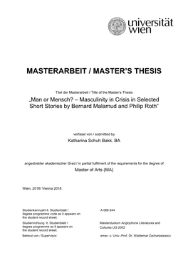 Masterarbeit / Master's Thesis