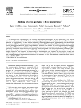 Binding of Prion Proteins to Lipid Membranesq