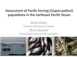 Assessment of Pacific Herring (Clupea Pallasii) Popula)Ons in The