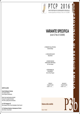 VARIANTE SPECIFICA (Ex Art