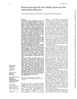 Human Intestinal M Cells Exhibit Enterocyte-Like Intermediate Filaments