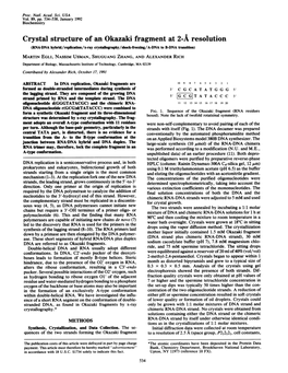 Crystal Structure of an Okazaki Fragment at 2-A Resolution