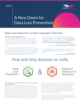 A New Dawn for Data Loss Prevention