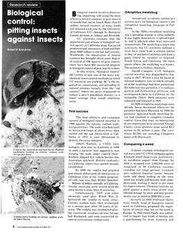 Biological Control Is the Million Natural Enemies of Many Kinds Citrophilus Mealybug Campaign in Cali- Are Released Each Year by the University Fornia