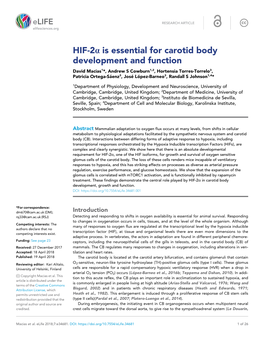 HIF-2A Is Essential for Carotid Body Development and Function