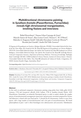 Multidirectional Chromosome Painting in Synallaxis Frontalis (Passeriformes, Furnariidae) Reveals High Chromosomal Reorganization, Involving Fissions and Inversions