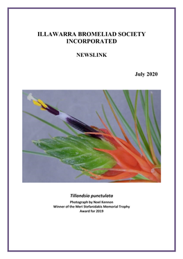 Illawarra Bromeliad Society Incorporated