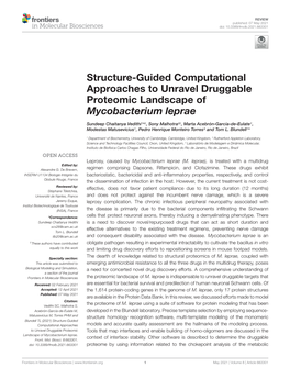 Structure-Guided Computational Approaches to Unravel Druggable Proteomic Landscape of Mycobacterium Leprae