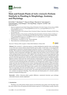 Male and Female Plants of Salix Viminalis Perform Similarly to Flooding in Morphology, Anatomy, and Physiology