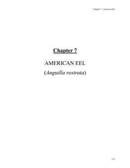 Chapter 7 AMERICAN EEL (Anguilla Rostrata)