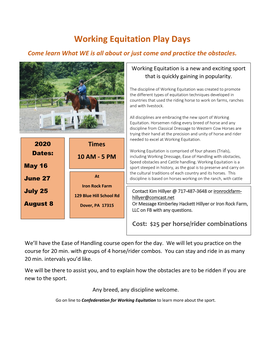 Working Equitation Play Days Come Learn What WE Is All About Or Just Come and Practice the Obstacles