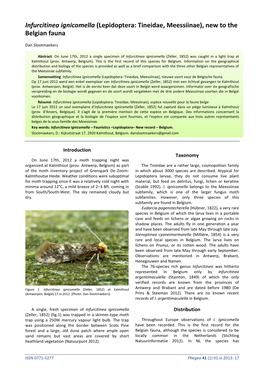 Infurcitinea Ignicomella (Lepidoptera: Tineidae, Meessiinae), New to the Belgian Fauna