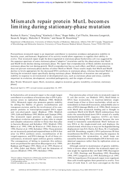 Mismatch Repair Protein Mutl Becomes Limiting During Stationary-Phase Mutation