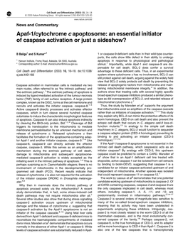 Apaf-1/Cytochrome C Apoptosome: an Essential Initiator of Caspase Activation Or Just a Sideshow?