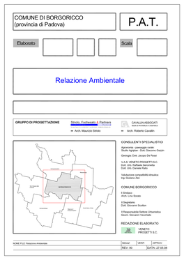 Relazione Ambientale Comune Di Borgoricco (PD) 2008