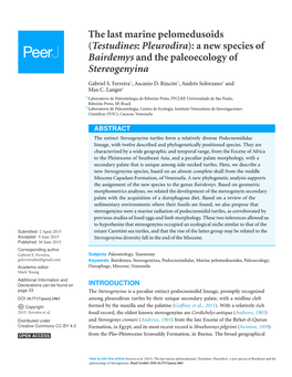 A New Species of Bairdemys and the Paleoecology of Stereogenyina