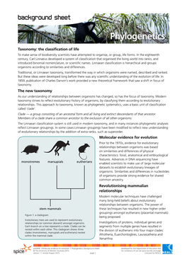 Phylogenetics