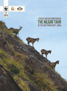 The Nilgiri Tahr in the Western Ghats, India