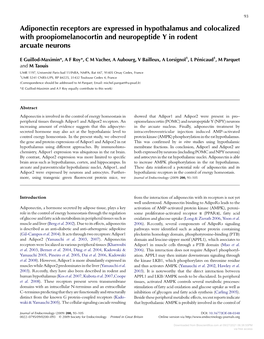 Adiponectin Receptors Are Expressed in Hypothalamus and Colocalized with Proopiomelanocortin and Neuropeptide Y in Rodent Arcuate Neurons