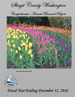 Comprehensive Annual Financial Report Fiscal Year