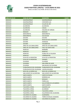 COVID-19 EXTREMADURA CASOS POSITIVOS Y BROTES – 14 DE ENERO DE 2021 (Datos Cerrados a Las 24:00H