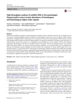 High-Throughput Analysis of Satellite DNA in the Grasshopper Pyrgomorpha Conica Reveals Abundance of Homologous and Heterologous Higher-Order Repeats