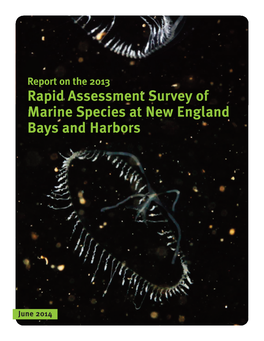 Rapid Assessment Survey of Marine Species at New England Bays and Harbors