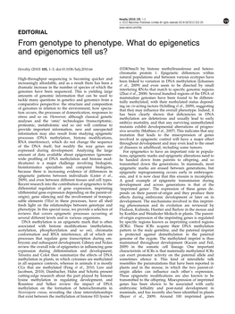 From Genotype to Phenotype. What Do Epigenetics and Epigenomics Tell Us&Quest