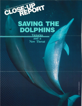 Saving the Dolphins