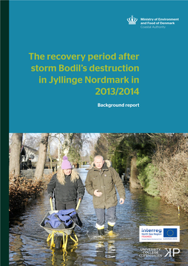 The Recovery Period After Storm Bodil's Destruction in Jyllinge Nordmark In