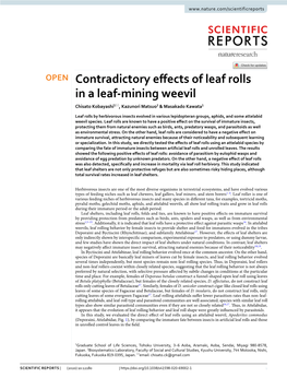 Contradictory Effects of Leaf Rolls in a Leaf-Mining Weevil