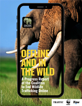 A Progress Report of the Coalition to End Wildlife Trafficking Online