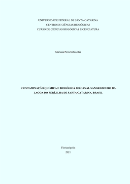 TCC Mariana Pires Schroeder.Pdf