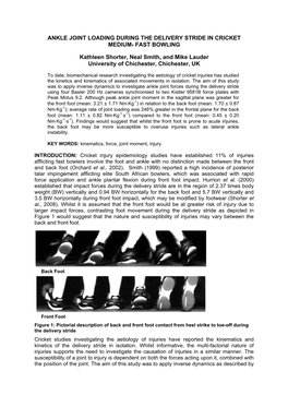 Ankle Joint Loading During the Delivery Stride in Cricket Medium- Fast Bowling